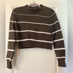 Z Supply Brown and White Striped Turtleneck Sweater